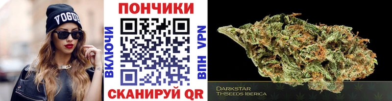 наркотики  Нестеров  Бошки марихуана тримм 